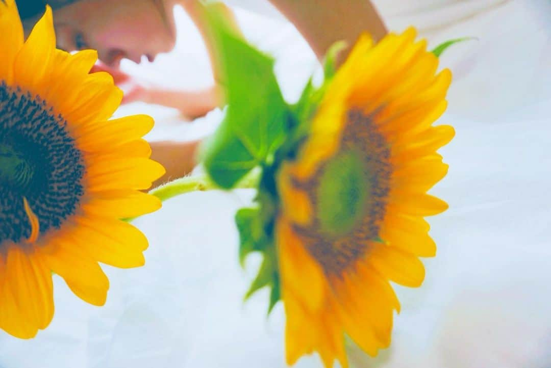 山田佳奈実さんのインスタグラム写真 - (山田佳奈実Instagram)「1番好きなお花🌻  今日は久しぶりにびしょびしょに濡れて、裸足で走り回ったので足の裏を火傷しました👣  夏を少し楽しめた🍉  #向日葵#ひまわり#夏#花#山田佳奈実」8月22日 17時22分 - kanami_yamada