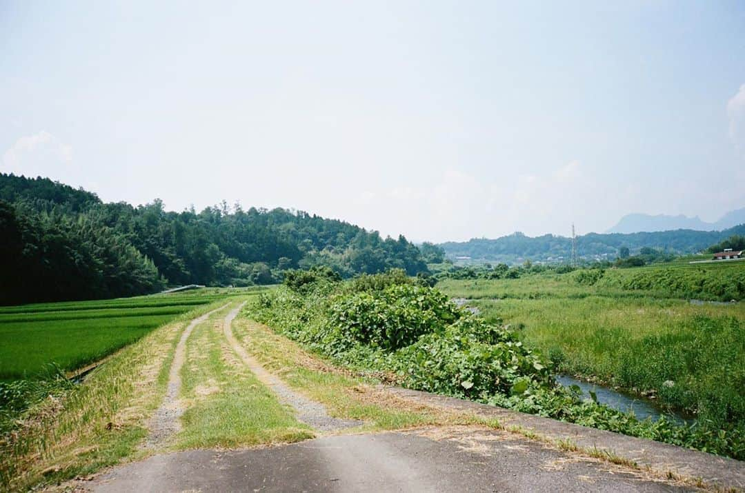 岡田健史さんのインスタグラム写真 - (岡田健史Instagram)「夏い」8月22日 18時03分 - kenshi_okada_official