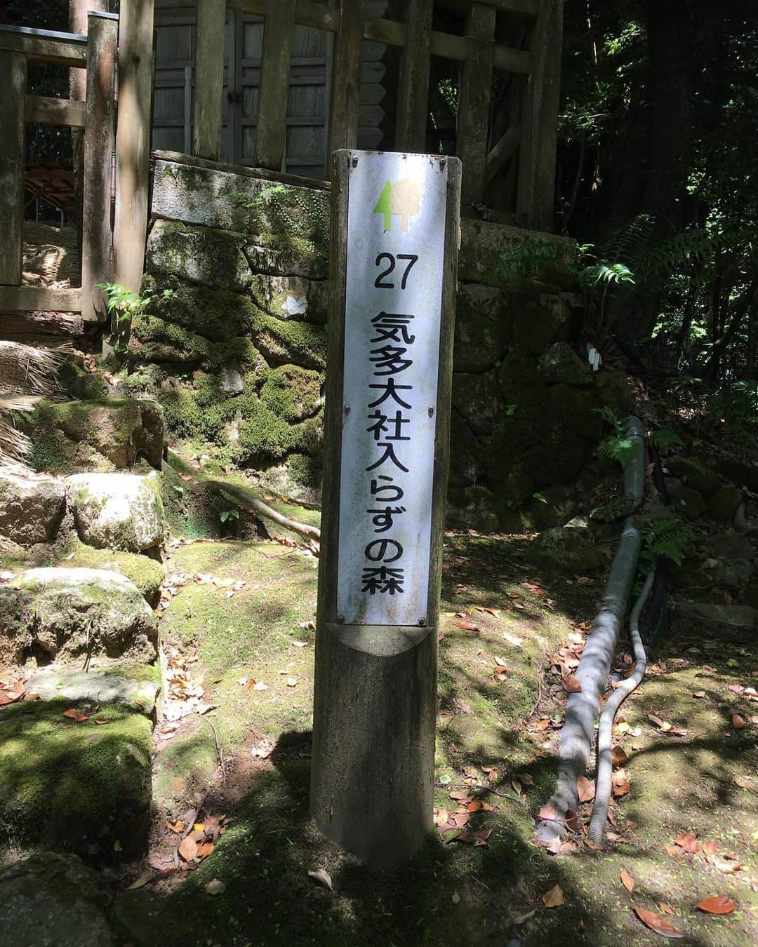 福山理子さんのインスタグラム写真 - (福山理子Instagram)「神道  #気多大社 #SSTR2019 #ちりはまなぎさドライブウェイ  #Shinto #touring #motorcycle」8月22日 18時11分 - rikofukuyama
