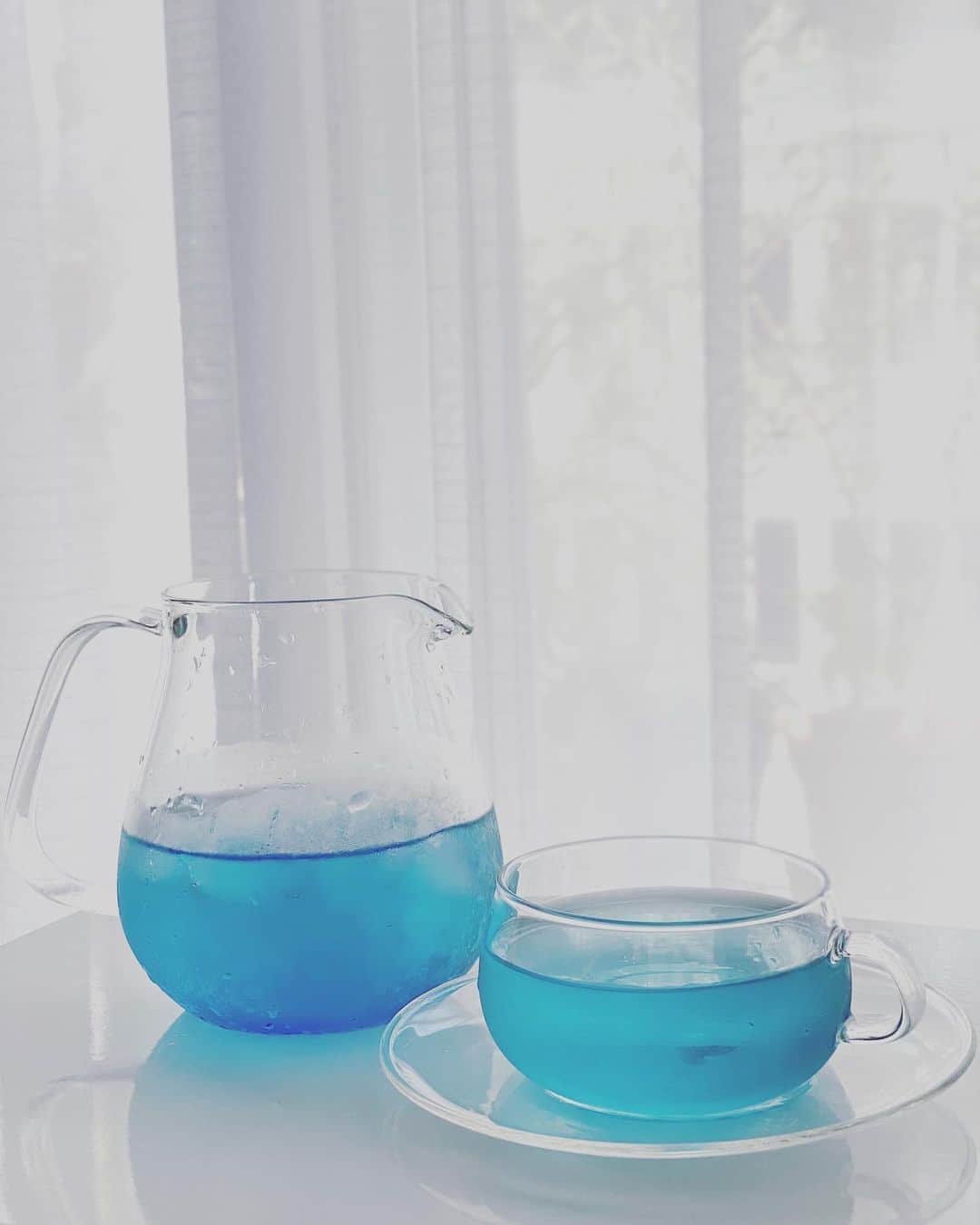 川田御早希さんのインスタグラム写真 - (川田御早希Instagram)「暑いので、氷を入れて青いお茶をいれてみました！  #ブルーマロウ  #青いお茶 #エトワールブルー  #引き寄せ #上機嫌 #いい気分 #今幸せでいよう #今を楽しむ」8月22日 18時31分 - misaki_kawada