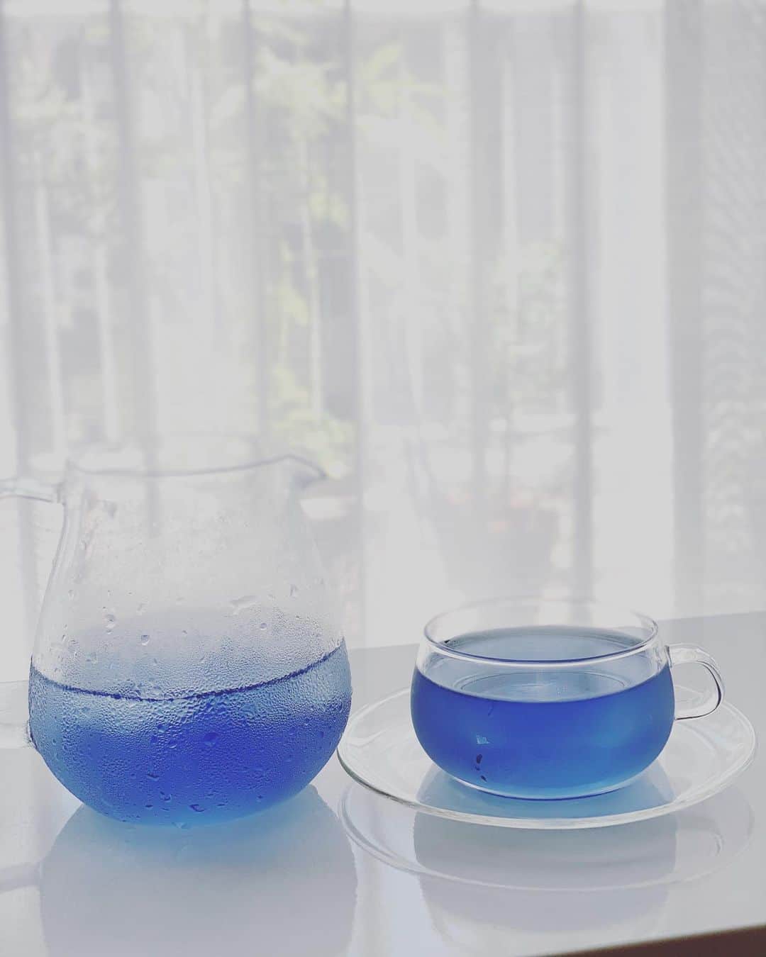 川田御早希さんのインスタグラム写真 - (川田御早希Instagram)「暑いので、氷を入れて青いお茶をいれてみました！  #ブルーマロウ  #青いお茶 #エトワールブルー  #引き寄せ #上機嫌 #いい気分 #今幸せでいよう #今を楽しむ」8月22日 18時31分 - misaki_kawada