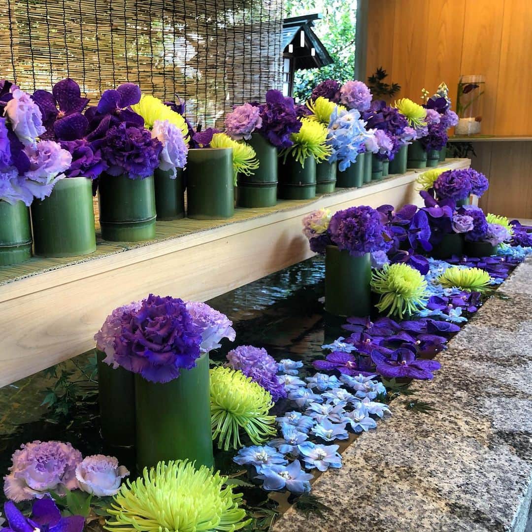 宇佐美進典のインスタグラム：「朝の散歩で乃木神社へ。手水鉢に花🌸がきれいだ。　#乃木神社　#よりそひ花てみず」