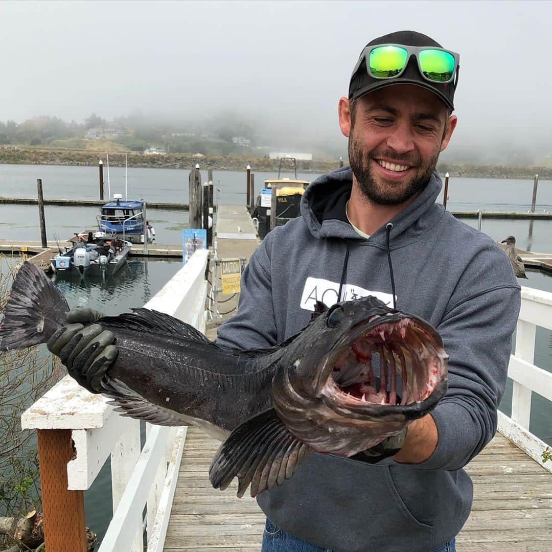 コーディー・ウォーカーさんのインスタグラム写真 - (コーディー・ウォーカーInstagram)「I slay #seamonsters #lingcod #oregon #oregoncoast #seafood #dinner」8月22日 10時21分 - codybwalker