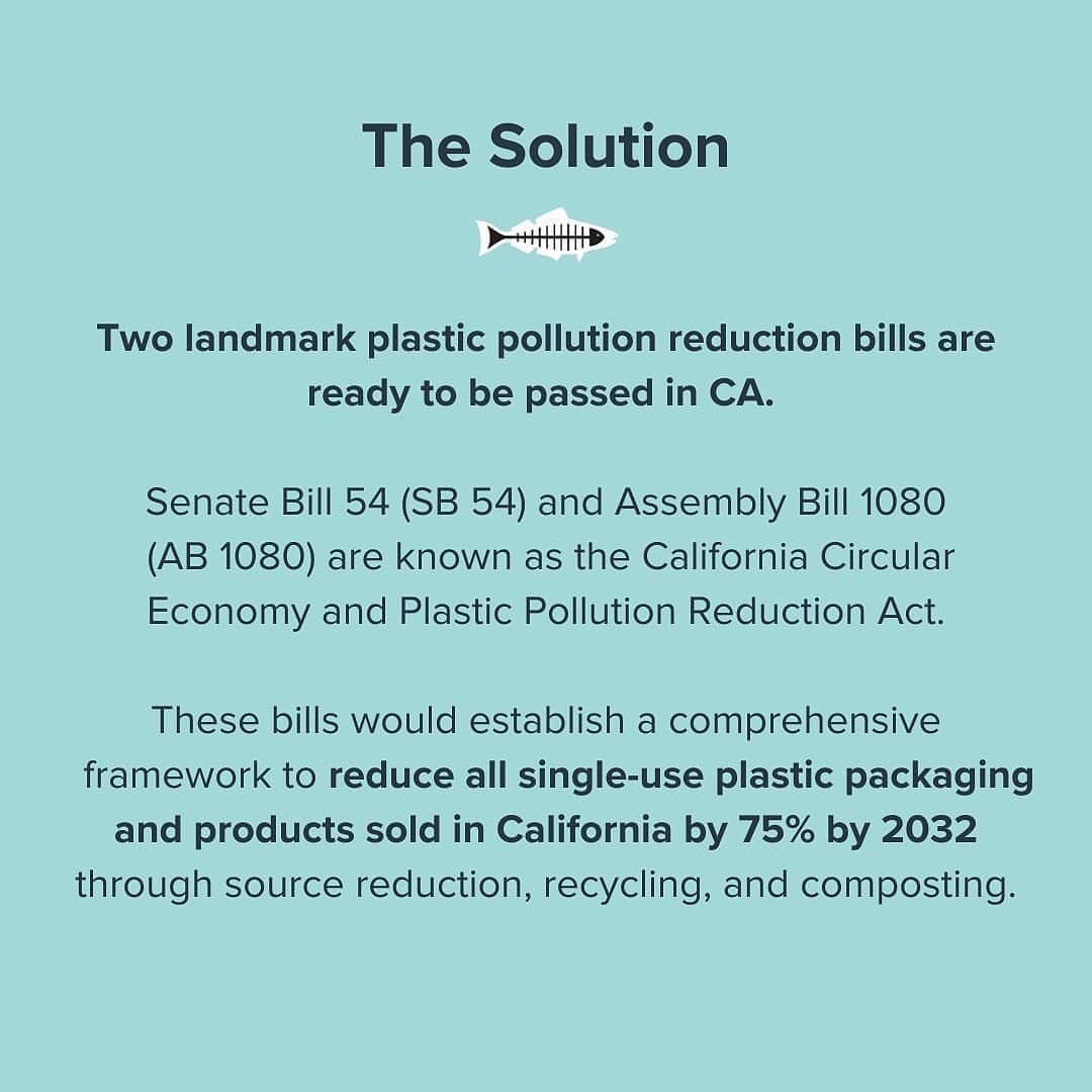 シャロン・ローレンスさんのインスタグラム写真 - (シャロン・ローレンスInstagram)「Repost from @healthebay • Click, call, done. ⁣  ⁣ We need YOU in the fight against Big Plastic. Together we have a chance to make California a global leader by reducing plastics 75% by 2032. Call TODAY to urge your CA representative to vote #YesonSB54 and #YesonAB1080. Swipe to learn more. Find your rep, get a script, and click to call at the link in our bio.」8月22日 11時01分 - sharonelawrence