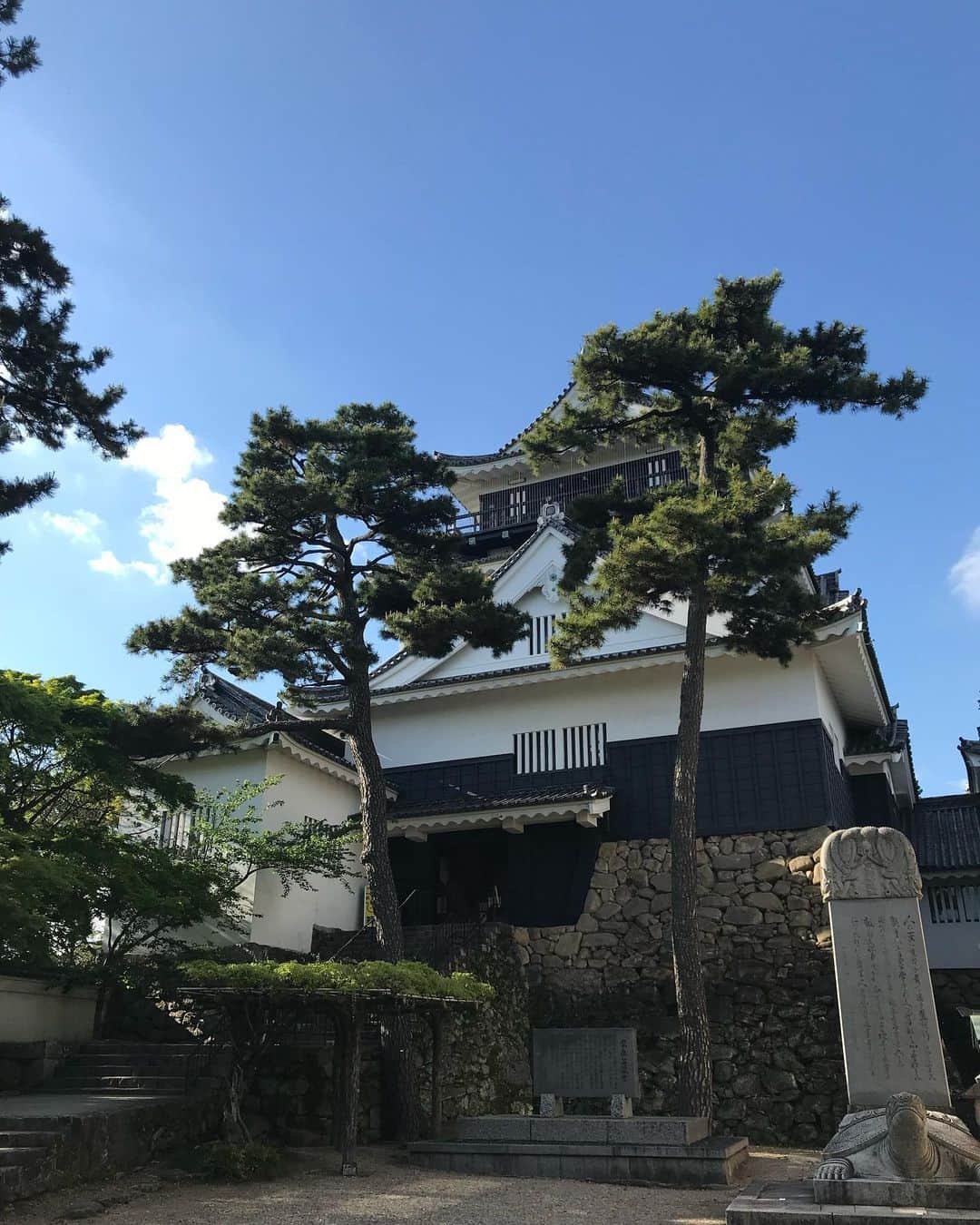 のインスタグラム：「. . 城好きなので ちょこちょこお城巡りしています🏯 . こちらはUPしていなかった いつぞやの岡崎城。 福岡時代の同僚べーやんと行ってきました☺️ . 日本100名城の一つで 何よりも徳川家康が生まれたお城として有名ですよね🏯 大きくはないけれど、品があります✨ 公園内の至る所に家康さんの像がありました。 一緒に写真撮れるよ😊 . . #岡崎城 #岡崎公園 #愛知県 #岡崎市 #徳川家康 #戦国武将 #江戸時代 #日本100名城  #歴史好きな人と繋がりたい #歴女」