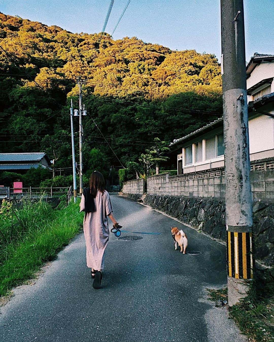 井上志帆子さんのインスタグラム写真 - (井上志帆子Instagram)「約15年ぶりに昔住んでた場所に帰りました。変わらない景色に、子供の頃『大きくなったら結婚しようね！』と約束していた幼馴染みにも再会。お互い大人になったなぁ…そんな彼が撮ってくれました😌 みたいな写真撮れた〜こちらは久山です🍉 💩の場所を探しながらウロウロお散歩しました #福岡#久山町 #柴犬と飼い主」8月22日 11時53分 - shiriko0316