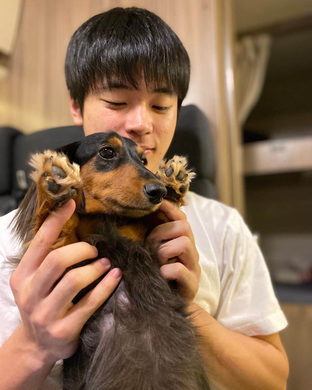 すしらーめん《りく》さんのインスタグラム写真 - (すしらーめん《りく》Instagram)「プチョヘンザ！！！！ #sausagedog #putyourhandsup」8月22日 12時43分 - sushi_riku