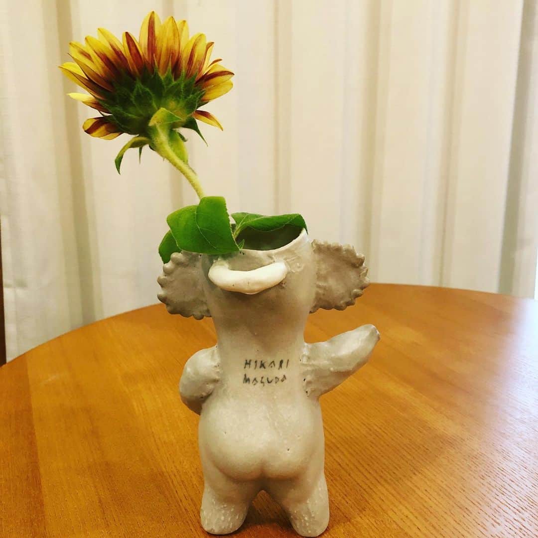 美甘子さんのインスタグラム写真 - (美甘子Instagram)「めちゃめちゃ可愛い、増田光さんの陶芸作品🐨コアラの花瓶を購入しました。増田さんの作品どれも可愛すぎて、集めたい。お尻の膨らみとか可愛すぎる。一点一点表情や形も微妙に違って、この子を選びました。他にも熊🐻とか犬🐶とか、可愛かった〜。 #増田光 さん #masudahikari #コアラの花瓶」8月22日 13時33分 - rekish_mikako