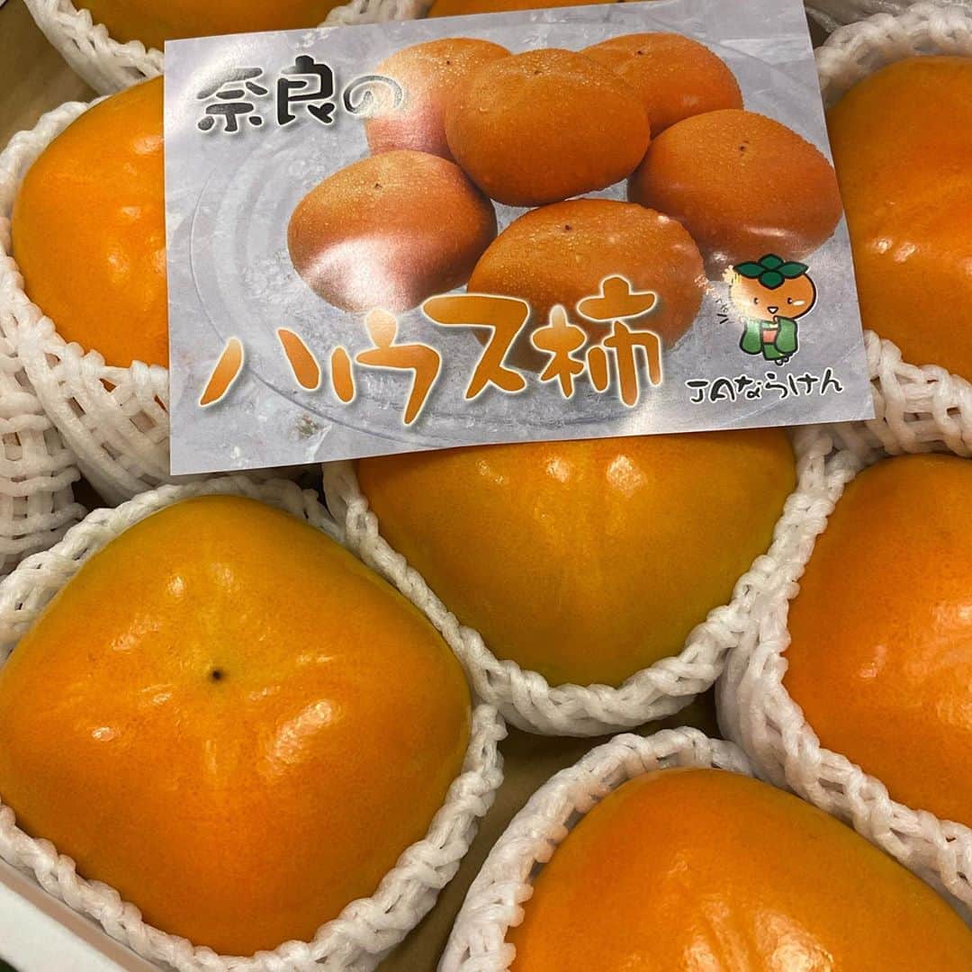 宋美玄さんのインスタグラム写真 - (宋美玄Instagram)「奈良の柿をいただいて美味しすぎ。今年は吉野に桜を見に行こうと思ってたんだけど、来年は行けるかな… #奈良 #柿食えば #奈良行きたい #早く秋が来て欲しい」8月22日 13時50分 - mihyonsongkobe