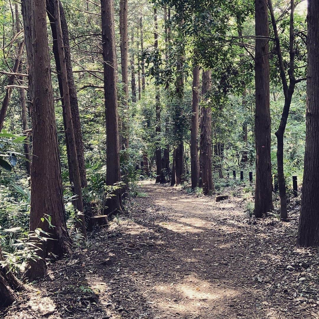 松田洋治さんのインスタグラム写真 - (松田洋治Instagram)「暑いけど。」8月22日 14時31分 - youjimat