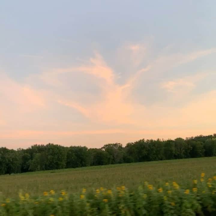 のインスタグラム：「bye summer vacation☀️」