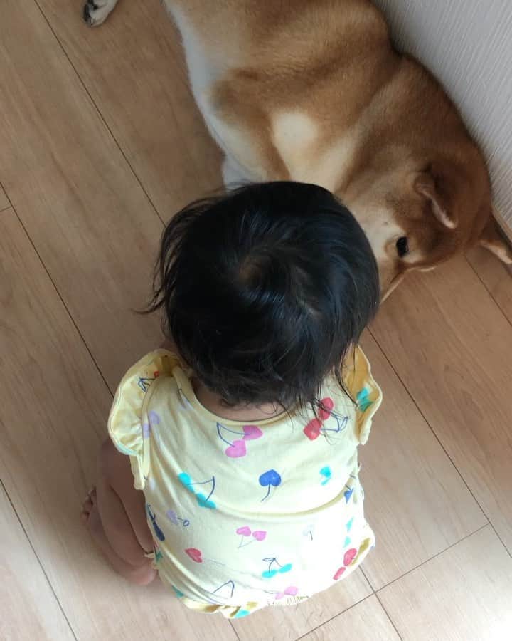 舞名里音のインスタグラム