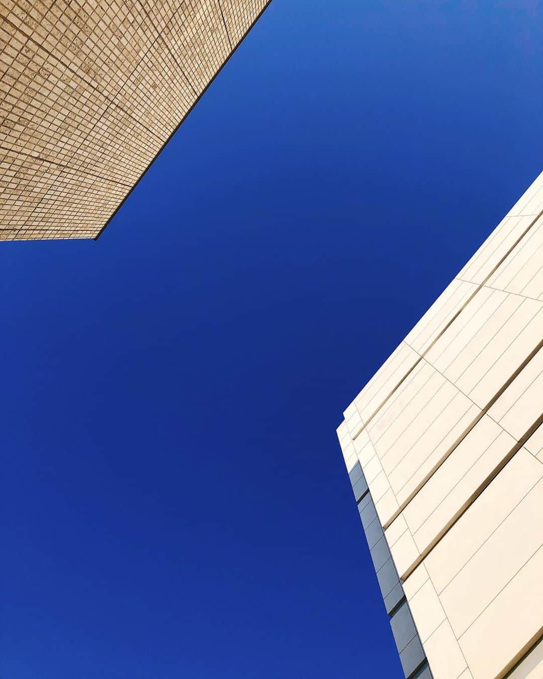 藤原絵里さんのインスタグラム写真 - (藤原絵里Instagram)「・ 雲一つない青空。 東京の空は狭い。 ・ #空 #青空 #晴れ #東京の空」8月22日 14時48分 - erifujiwara0523
