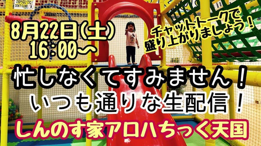 古本新乃輔さんのインスタグラム写真 - (古本新乃輔Instagram)「後ほど URLを貼り付けたいと存じます。  兎にも角にも、 後ほど 16:00〜。  #YouTube #生配信 #しんのす家アロハちっく天国  #ウクレレ #多肉植物 #リメ缶 #子育て #イクメン #親バカ #ゴシップ #チャットトーク」8月22日 14時49分 - shinnosukefurumoto