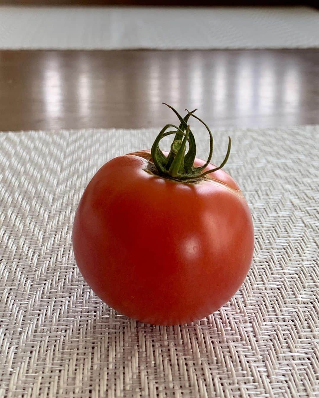 駒田奈美さんのインスタグラム写真 - (駒田奈美Instagram)「・ ・ ・ 『トマト🍅』 ・ ・ 本日家庭菜園のトマトを収穫！！ ・ ・ 家庭菜園初心者の駒田家は 土と間違えて腐葉土のみで 苗を植えてしまい… ある時その間違えに気づいて 慌てて土を入れ替えました(^^;; ・ もうトマトは実がならないかな？と 思ってたけど… で・き・た♡ ・ ちょっと嬉しい(´∀｀) ・ ・ 茄子や胡瓜はちょこちょこ収穫して 食べてます♪ ・ ・ ・ #駒田奈美#オスカープロモーション #モデル#家庭菜園#初心者#トマト#収穫#腐葉土#茄子#胡瓜#嬉しい#初収穫」8月22日 15時25分 - nami.komada