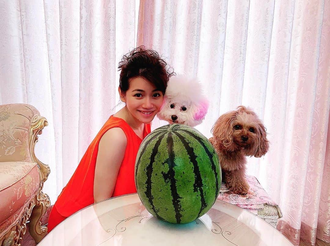 のインスタグラム：「【#スイカ】  夏の風物詩〜🍉  おじいちゃまが 自然の恵みたっぷりで栽培しました🌱  みずみずしくて 糖度がかなり高く、美味しい〜😋🍉🌊  愛犬ぴーちゃん&らぶちゃんが おいしいものを選んで運んでくれた🐩💕  《スイカの美容効果》  肌の健康を保つビタミンAや、 美肌を損なう活性酸素を除去する 力の強いリコピンなども大変豊富です🌟  リコピンは、トマトの約1.5倍含まれる🍅  (ビタミン類) ●新陳代謝を促し、肌の老化を 予防してくれる効果があるビタミンA  ●体内でビタミンAにかわるβカロテン  ●皮膚の弾力をアップさせる効果が 期待できるビタミンCなど、 美容に欠かせない成分が豊富ですよ〜❣️  #フルーツ #フルーツアナウンサー‬  #美活アナウンサー  ‪#駄菓子アナウンサー‬ ‪#駄菓子屋 #駄菓子女子 ‬ ‪#駄菓子 #日本駄菓子協会 #公認  ‪#HAP #horipro‬ ‪#田中めぐみ #アナウンサー‬ ‪#ホリプロ #ホリプロアナウンス室‬」