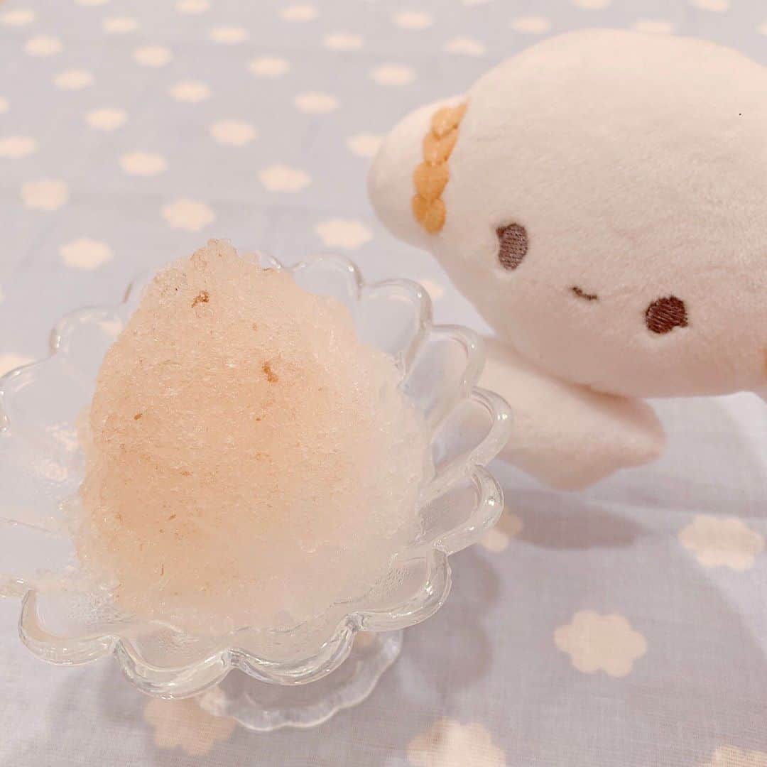 こぎみゅん（サンリオ）のインスタグラム：「おいしいおいしい梅ジュースのかき氷だみゅん･･♡ キーンってしないように気をつけるみゅん！🍧  #サンリオ #キャラクター #小麦粉の妖精 #こぎみゅん #sanrio #character #cogimyun #かき氷 #梅ジュース」
