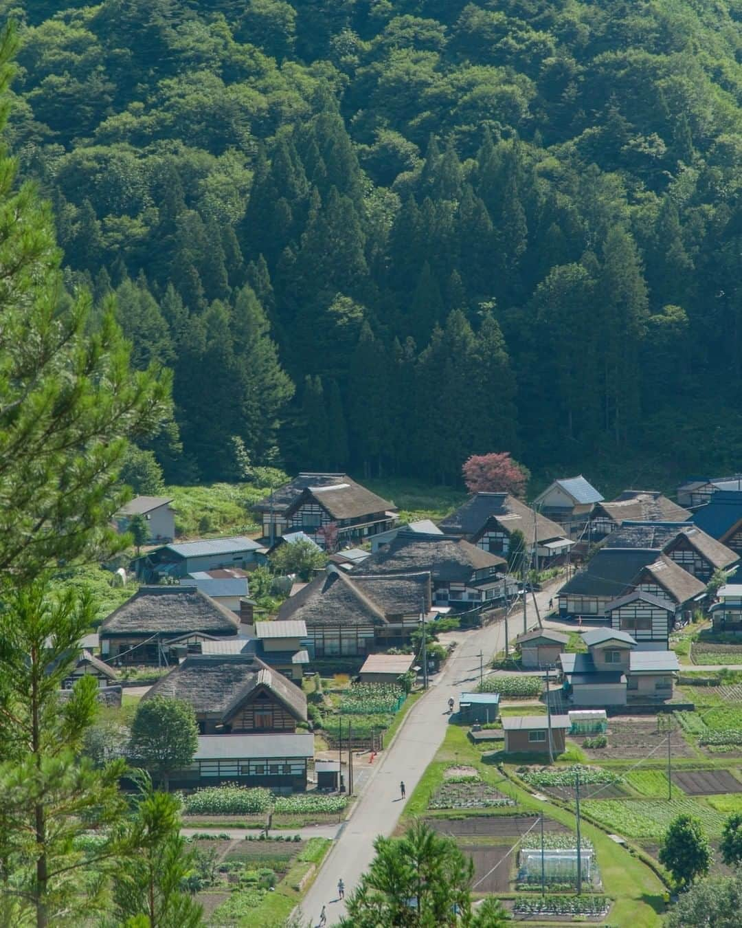 福島県さんのインスタグラム写真 - (福島県Instagram)「【前沢曲家（まえざわまがりや）集落】  息を切らして暗い杉林の中を登ると、まるでタイムスリップしたかのように、箱庭のような日本の原風景が現れました。今も人々の暮らしが息づく、かやぶき曲家の小さな里です。  #前沢曲家集落 #南会津町 #南会津地方  #福島県  #minamiaizutown #fukushima  #traveljapan  #futurefromfukushima  #ふくしまからはじめよう  #新しい生活様式からはじめよう」8月22日 17時15分 - realize_fukushima