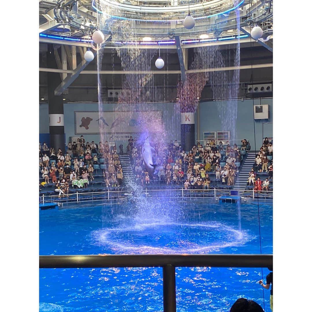 堀友理子のインスタグラム：「イルカ🐬さん、スゴイよ💛  久しぶりの品川アクアパーク、イルカのショーが神秘的だった☺️ 数年前に行った時から、館内かなり変わってて、より大人向けな雰囲気でした^ - ^  #品川あくあぱーく  #イルカのショー #エイとにらめっと #海亀と泳ぎたい」