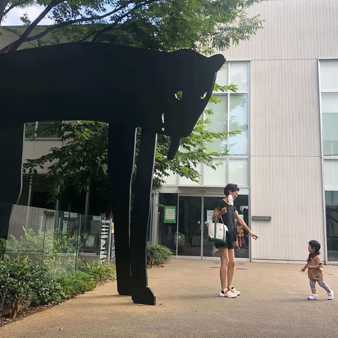 森本容子さんのインスタグラム写真 - (森本容子Instagram)「今日は朝の7時に代官山。 私はカリアングのカットソーにH&Mのショートパンツ、ナイキのスニーカーでした。 カットソー見えないので、写真のせます！さっぱりとしたコットンの生地に、シャツ生地のフリフリつけました。お腹周りごまかせて最高ですっ✨写真にリンクをはっておきますので、ぜひ💛  【森本容子セレクト オンラインストア】http://ymdo.tokyo ※新作お知らせから発売開始時間までも【在庫切れ】と表示されておりますので注意ください。  ※商品のお問い合わせ、質問はオンラインストアへお願い致します。  @kariangofficial @ymdoshop @bankertokyo @yocomorimoto #bankertokyo #ymdoshop #kariang #tokyo #denim #japanmade #カリアング#レディスウェア#今日のコーデ#カットソー#コーディネート#森本容子#キッズウエア #マタニティウエア #マタニティ#マタニティコーデ #がんばれ高齢出産 #fashion #yocomorimoto  #1歳 #40代」8月22日 19時07分 - yocomorimoto