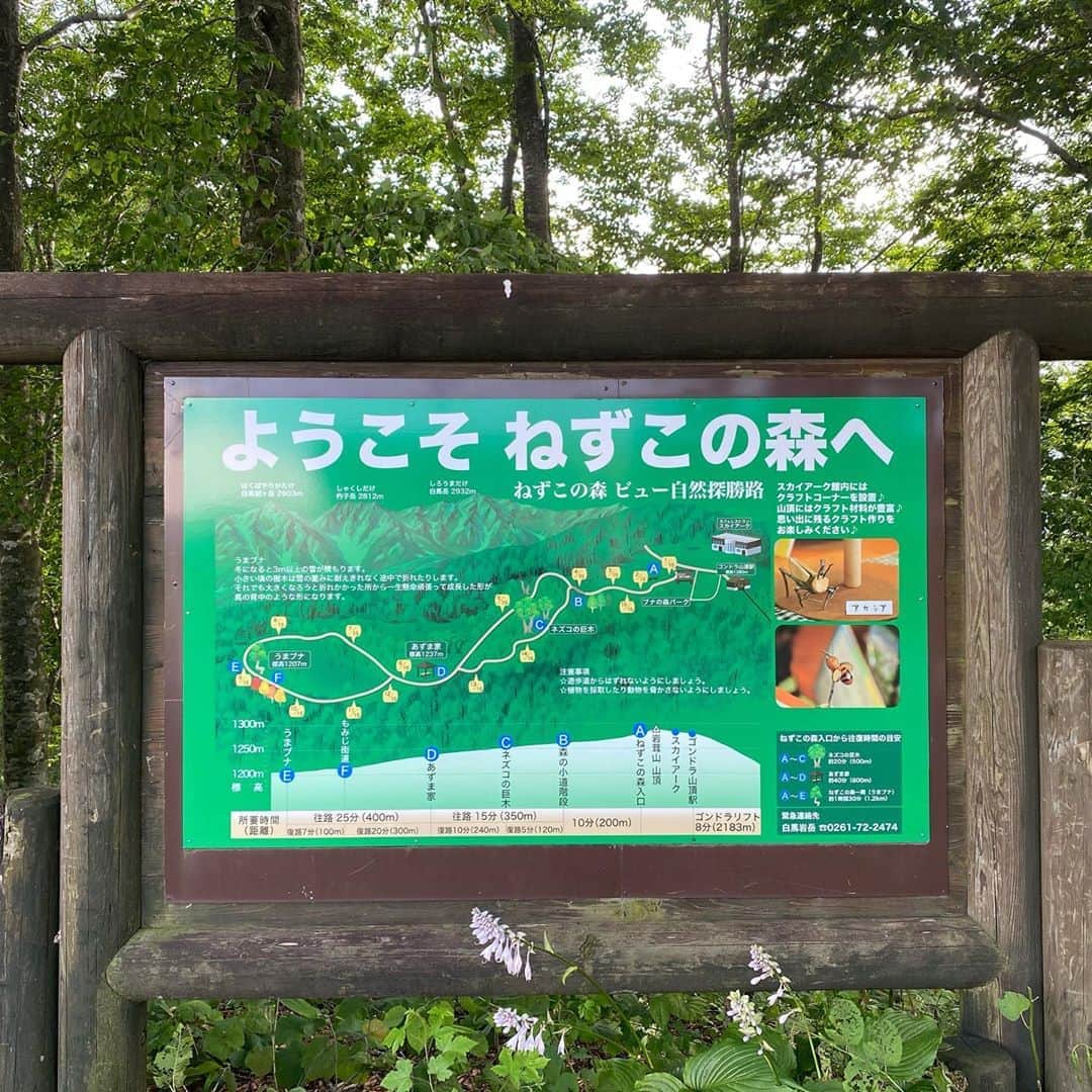 三木道三さんのインスタグラム写真 - (三木道三Instagram)「白馬の夏は気持ちイイ🏔」8月22日 19時27分 - dozan11