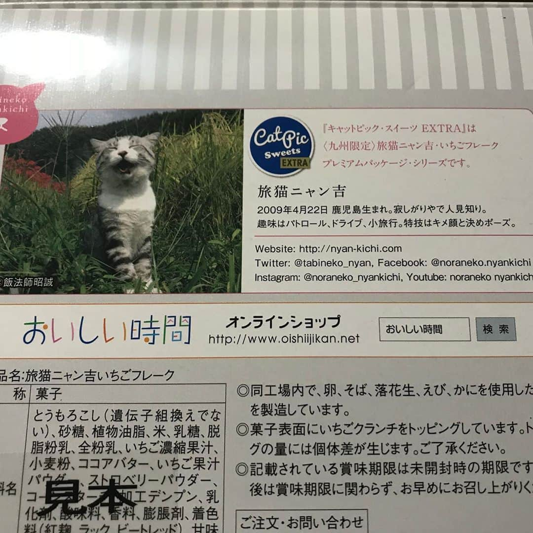 Nyankichi Noranekoさんのインスタグラム写真 - (Nyankichi NoranekoInstagram)「#猫 #cat #고양이 #แมว #貓 #кошка #wats #chat #ニャンスタグラム #gato #catsofinstagram #ねこ部 #旅猫 #cats #aso #japan #猫写真 #ねこ #seekor #ネコ #kitty #catlover #パトロール #kucing #kucinglucu #おいしい時間」8月22日 19時50分 - noraneko_nyankichi