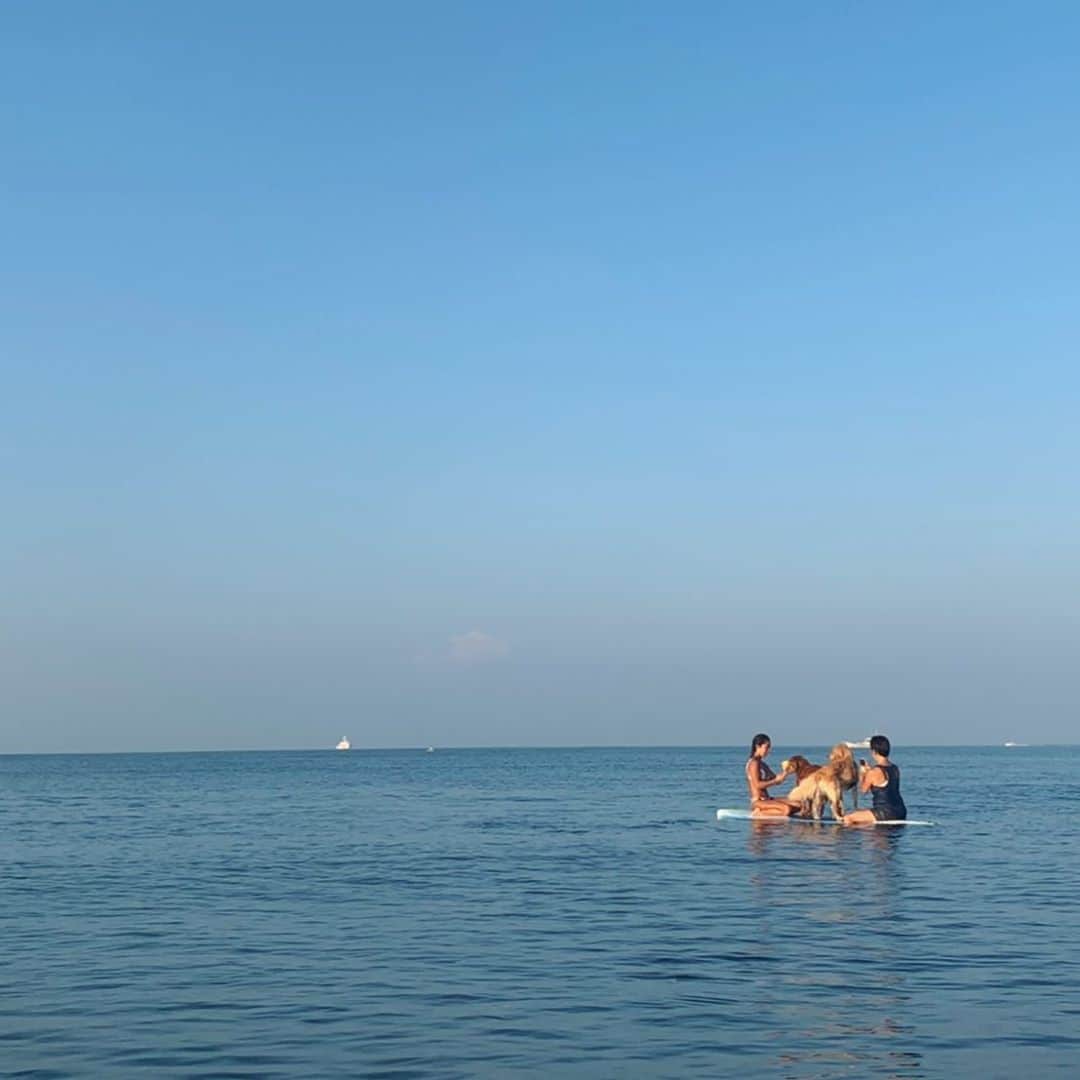 大村 奈央さんのインスタグラム写真 - (大村 奈央Instagram)「湖みたいだった今朝の海💎今日は4人乗り🐶🐶👩‍👧 #つるんつるん」8月22日 20時10分 - naoomura