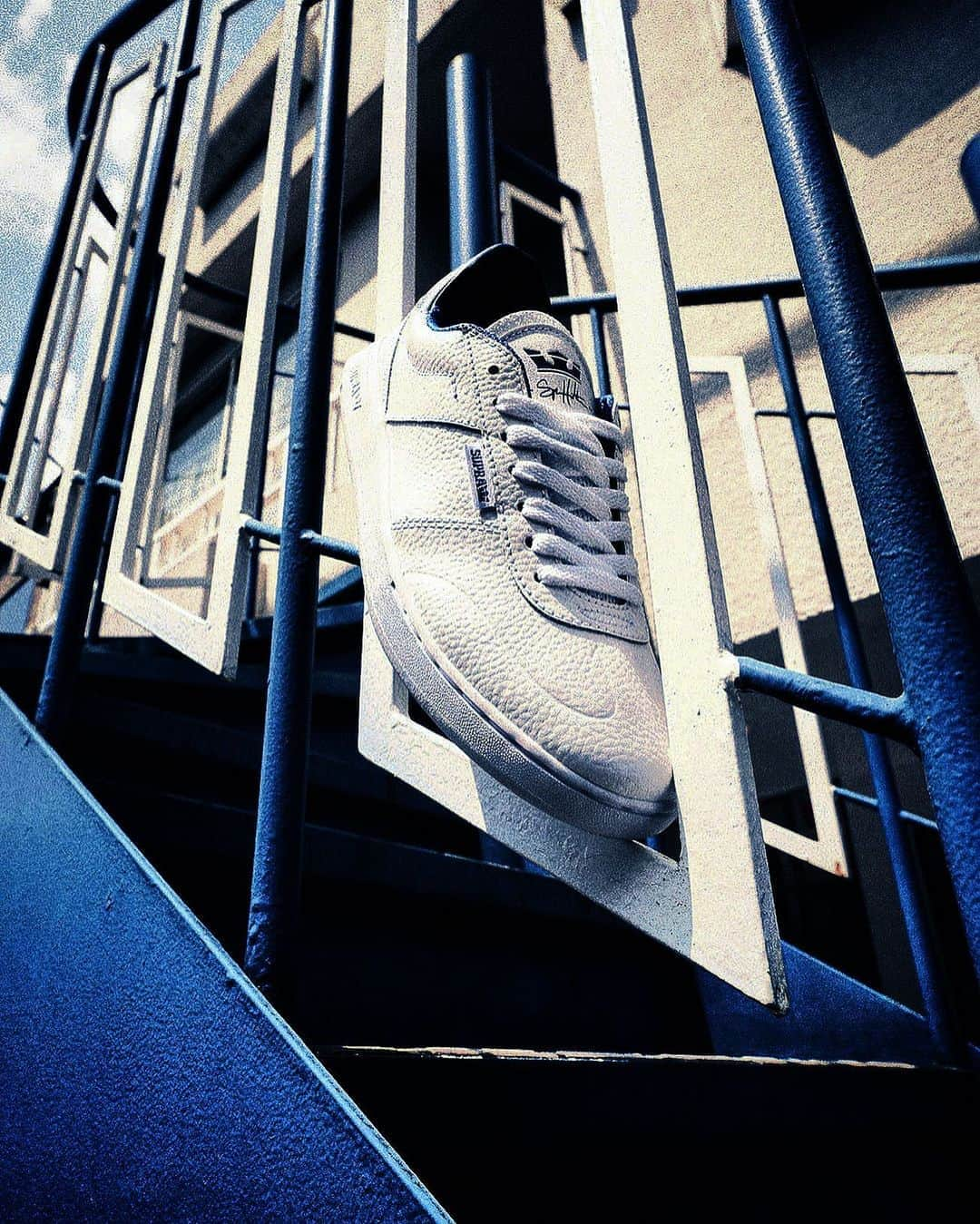 SUPRA TOKYOさんのインスタグラム写真 - (SUPRA TOKYOInstagram)「【ELEVATE】 "WHITE ROYAL WHITE "  In Store & Online.  #suprafootweartokyo #dollynoire #sneaker #elevate #spencerhamilton #harajuku」8月22日 20時08分 - supratokyo