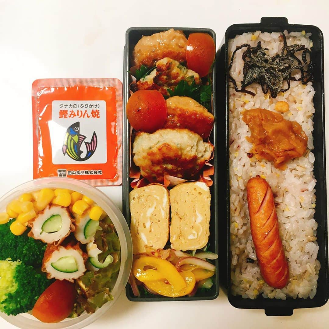 水野愛日さんのインスタグラム写真 - (水野愛日Instagram)「最近のお弁当  #まなびごはん #お弁当 #おべんとう記録 #女子弁当 #おべんとう作り楽しもう部 #お弁当生活 #ワンパターン弁当 #たまごやき はだいたい入る #弁当女子 #簡単弁当 #冷凍食品も使います たまに #お弁当作り楽しもう部」8月22日 21時04分 - mizunomanabi