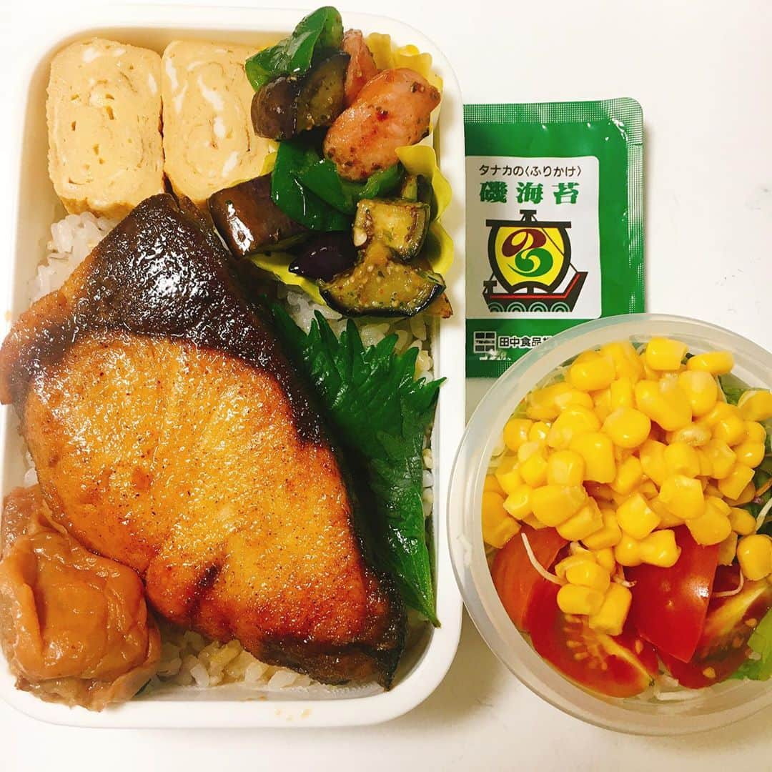 水野愛日さんのインスタグラム写真 - (水野愛日Instagram)「最近のお弁当  #まなびごはん #お弁当 #おべんとう記録 #女子弁当 #おべんとう作り楽しもう部 #お弁当生活 #ワンパターン弁当 #たまごやき はだいたい入る #弁当女子 #簡単弁当 #冷凍食品も使います たまに #お弁当作り楽しもう部」8月22日 21時04分 - mizunomanabi