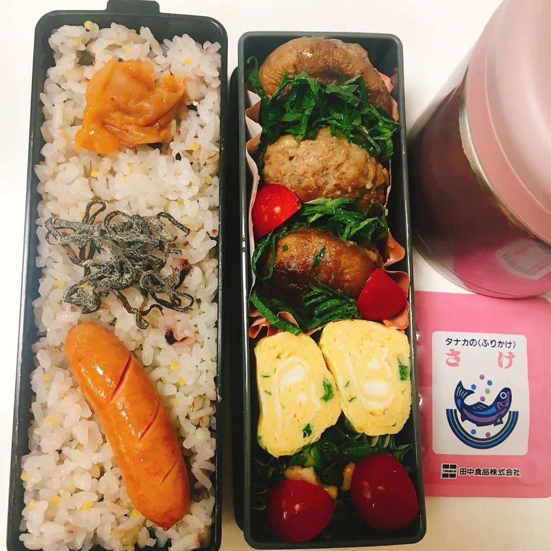 水野愛日のインスタグラム：「最近のお弁当  #まなびごはん #お弁当 #おべんとう記録 #女子弁当 #おべんとう作り楽しもう部 #お弁当生活 #ワンパターン弁当 #たまごやき はだいたい入る #弁当女子 #簡単弁当 #冷凍食品も使います たまに #お弁当作り楽しもう部」