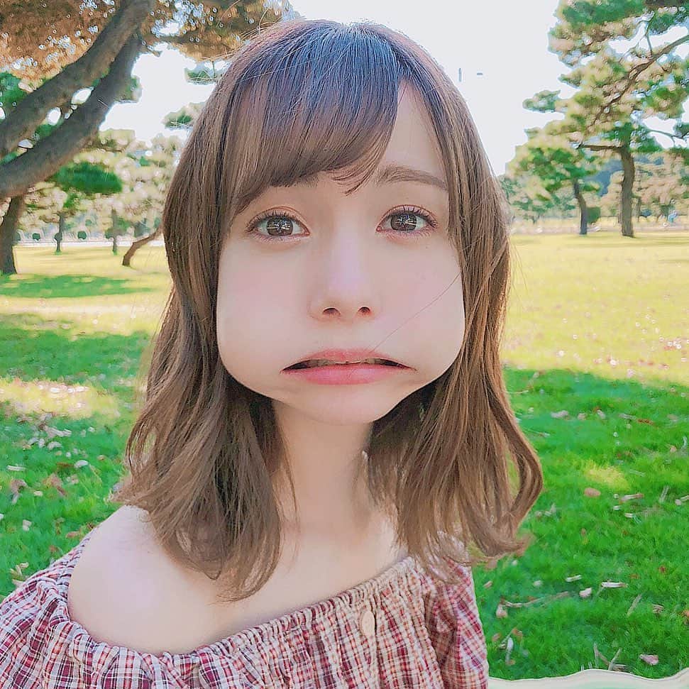 柴田あやなのインスタグラム：「写真なさすぎてミニトマト詰めたときのやつ」