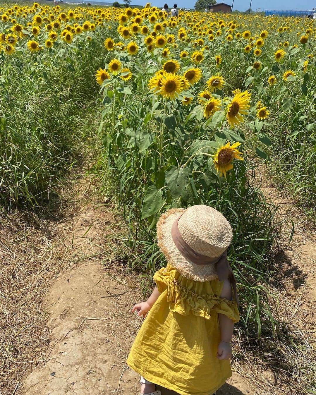 畠中清羅 のグルメインスタ