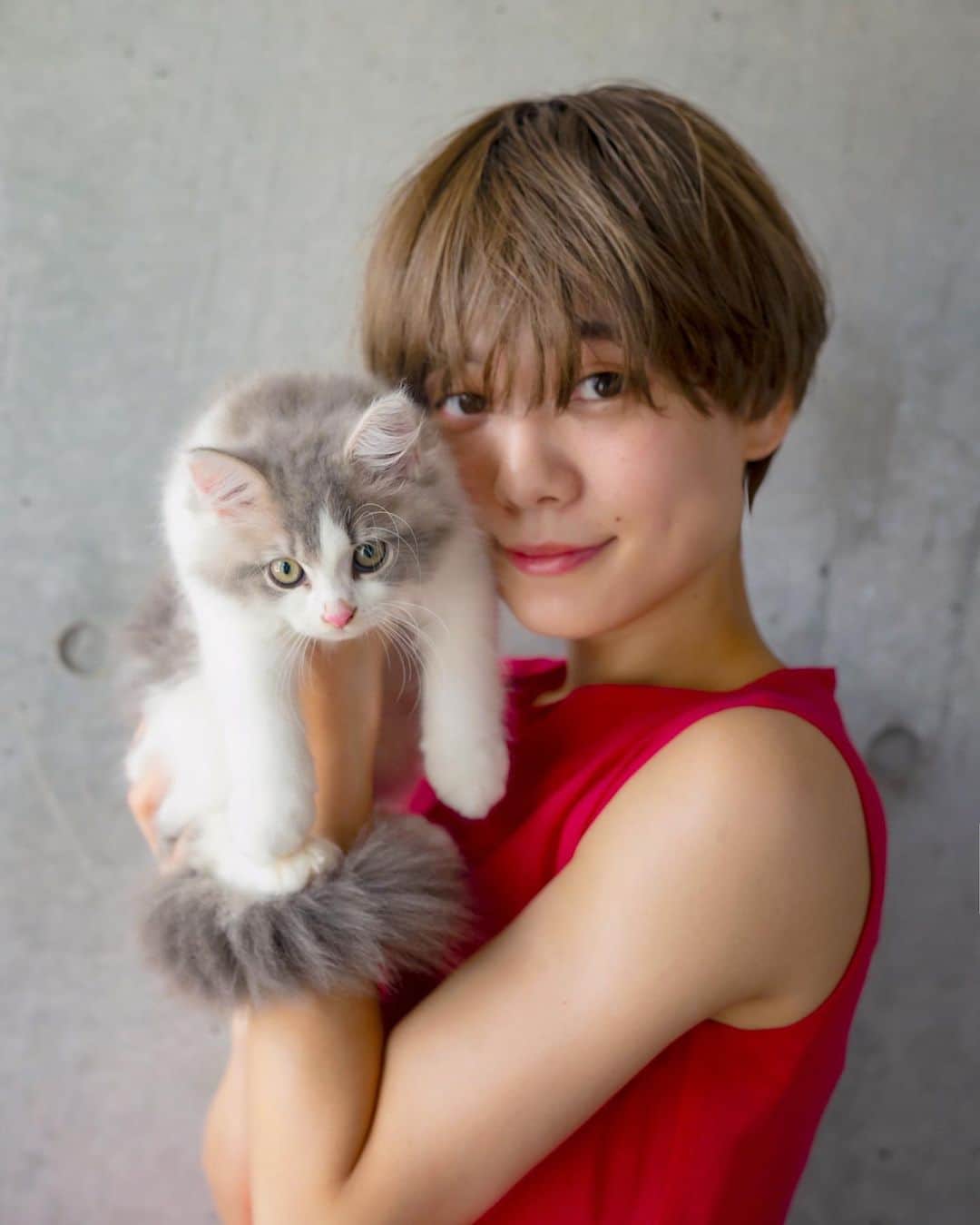 のインスタグラム：「. . プクと一緒に撮ってもらったよ🐱💕 小さい時はほんの一瞬、これでももう大きくなった気がします🥺🙏🏻✨ これからもずっとよろしくね❤️ . . #cat #catstagram #kitty #猫 #にゃんこ #もふもふ #にゃんすたぐらむ #サイベリアン」