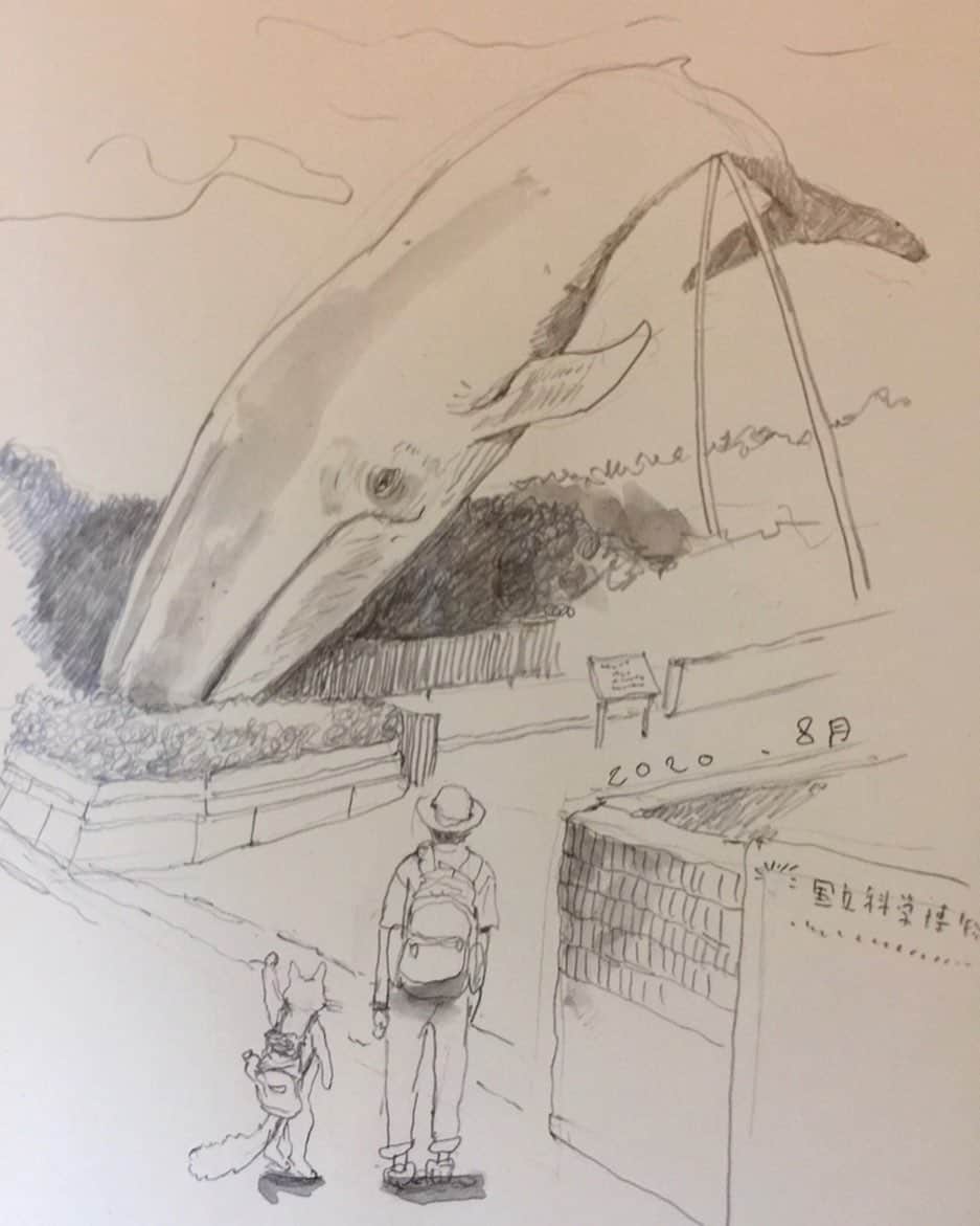 ほぼ日刊イトイ新聞さんのインスタグラム写真 - (ほぼ日刊イトイ新聞Instagram)「【「勝手に松本大洋ファン倶楽部」より】 「漫画の取材で上野に行ったら、 公園に大きなシロナガスクジラがいました。 一年前も書いた気がしますが、 すごく暑かった‥‥！」（松本大洋さん）  いちどみたことがある人なら 「あのクジラだ！」ってなりそう！  https://taiyomatsumoto.1101.com  #松本大洋 #勝手に松本大洋ファン倶楽部 #上野公園 #シロナガスクジラ #ほぼ日 #ほぼ日刊イトイ新聞 #ほぼ日のよみもの」8月22日 21時46分 - hobonichi1101