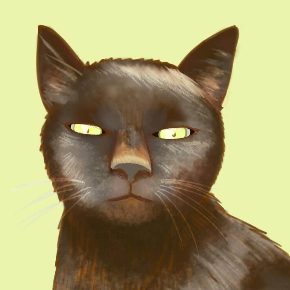 葉月つばささんのインスタグラム写真 - (葉月つばさInstagram)「Ci-enサイトにて、オリジナルアイコン作成企画やってます✨  今回は、猫さんのお写真をもらったので、こんな感じで書きました(笑)  うちの家猫も黒猫なので、親近感湧いたよ(๑¯ω¯๑)ぼちぼちこんな感じで紹介していきたいと思います←ご興味ある方は是非✨  #イラスト #illustration  #お絵描き #愛のお届け隊長」8月22日 22時10分 - 2basa_kodama