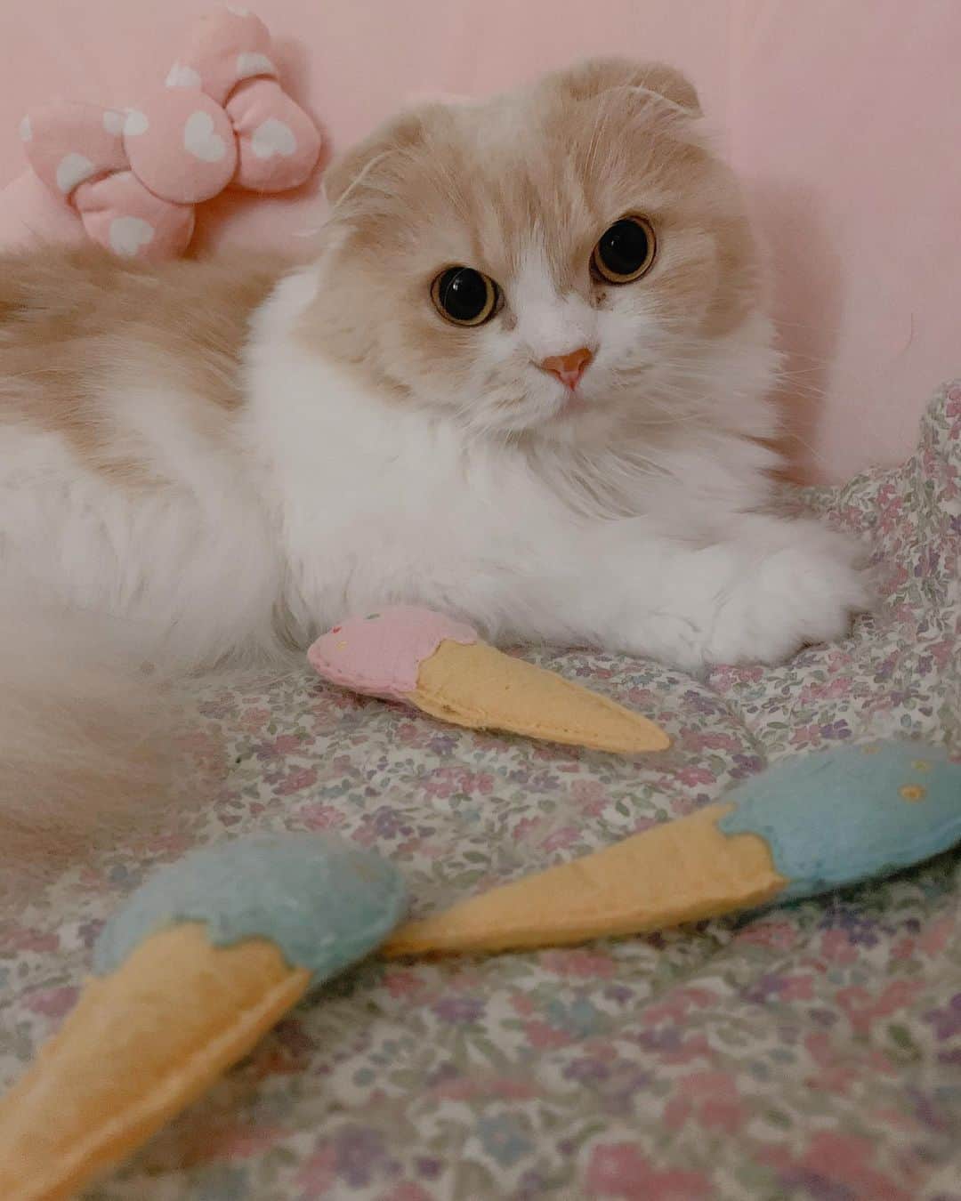 のんたのインスタグラム：「ぼーちゃんのアイスクリームショップへようこそ🍦 ③いちご味は売り切れ🍓 ④⑤店じまい」