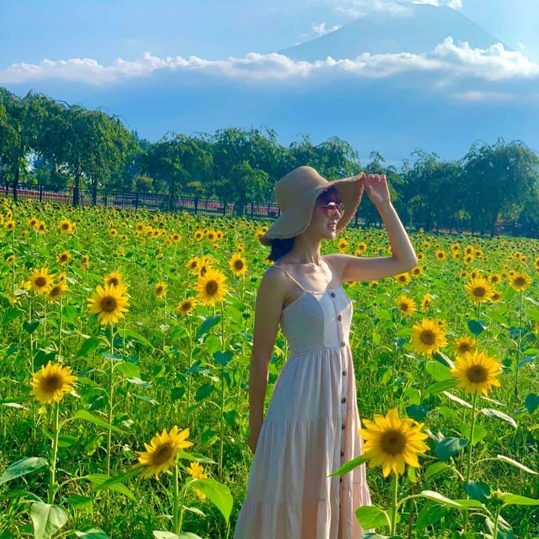 セーラのインスタグラム：「ひまわり畑🌻 後ろにチラッと富士山🗻  #花の都公園　#ひまわり畑　#ひまわり　#sunflower #花言葉が好き　#富士山　#山梨県　#japan」