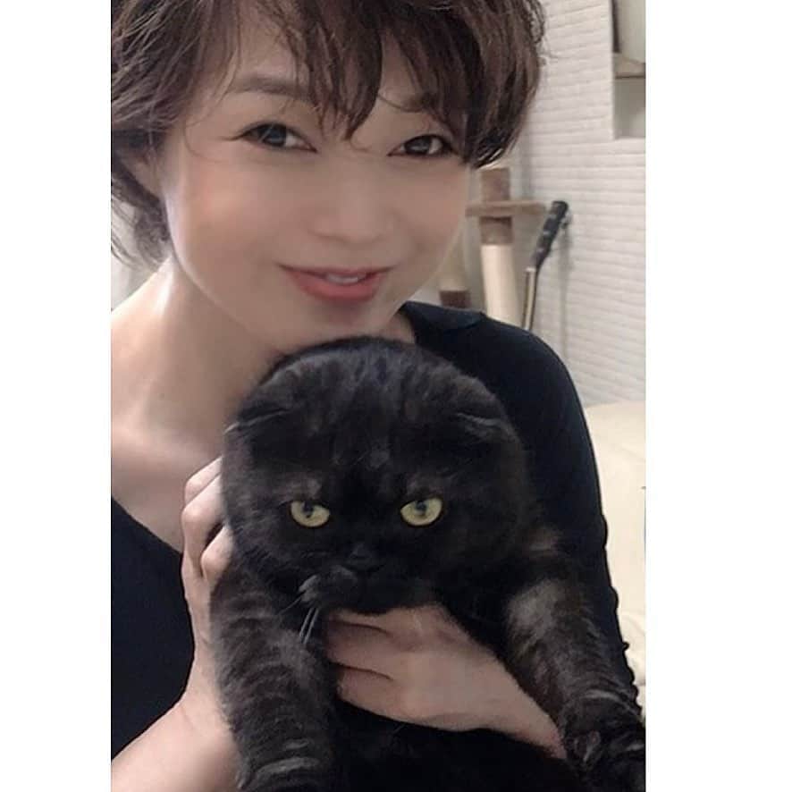 いかりさとみのインスタグラム：「抱っこされる強し。まんまる  #ねこ #cat #ねこすたぐらむ #強し #blackcat #catstagram #catlover」