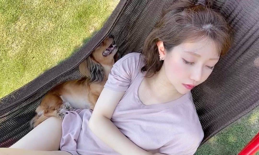 安藤志穂美さんのインスタグラム写真 - (安藤志穂美Instagram)「ひめちゃんと写真撮るの好き。﻿ ﻿ 日陰の下にハンモック持っていって、﻿ ﻿一緒に寝転んだりして、﻿ ﻿風吹く度にすごい風感じてるの、まじ可愛い。﻿  #dog #dogstagram  #dachshund  #travel #japan  #hammock #summer #犬好き #犬の生活が第一  #犬がいる生活  #犬は家族  #犬と旅行  #犬旅」8月22日 23時44分 - shiomi_ando