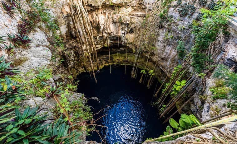 のインスタグラム：「This morning before breakfast we went swimming with the oblivious catfish in #CenoteOxman in #Valladolid #Yucatan #Mexico」