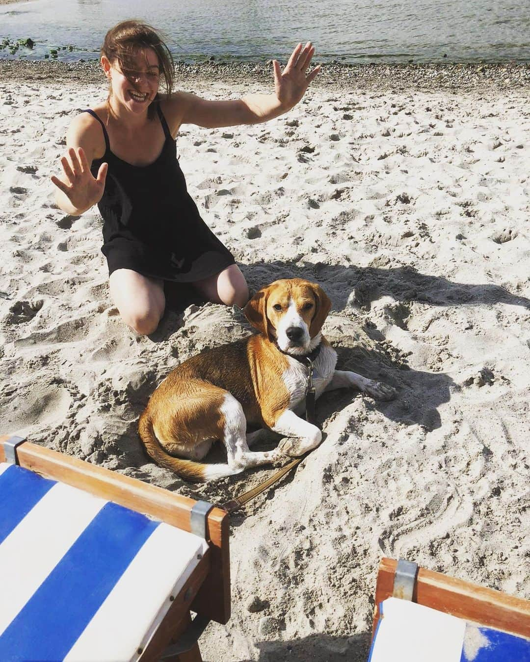 ミリアム・ツィーグラーのインスタグラム：「As a kid I built castles out of sand, today I build dog beds. Needless to say I haven‘t perfected it yet 😜」