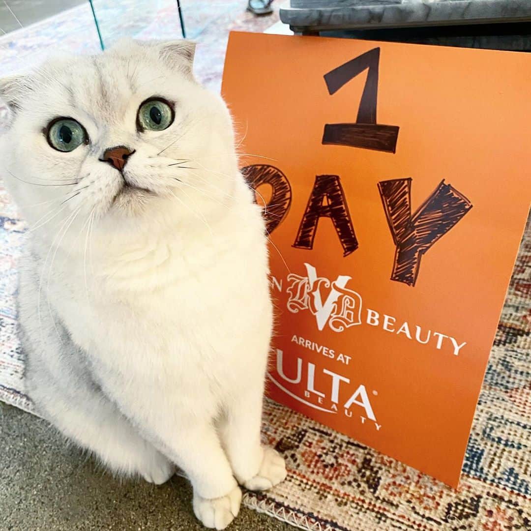 Hiroのインスタグラム：「Keeping my eyeliner game sharp with my @kvdveganbeauty friends. Exciting news- they’re launching with @ultabeauty in 1 day! #ubxkvdvb」