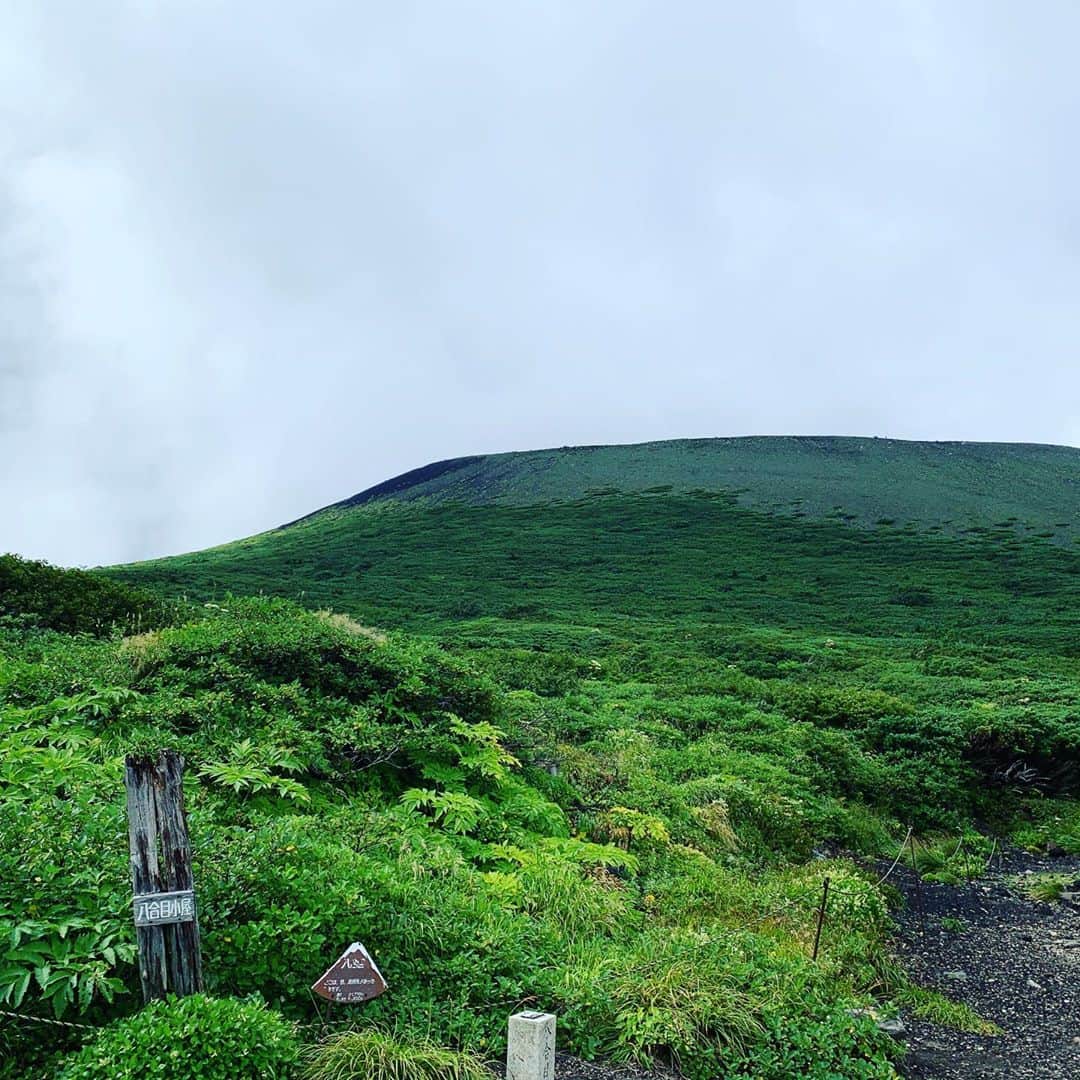 大隅智子さんのインスタグラム写真 - (大隅智子Instagram)「標高2038mの岩手山に登りました！片道5時間ほどかな。登りは傾斜が大きくてかなりきつかったですが、一緒に登ってくれたみんなが面白くて、楽しく登れました！ 頂上は360度、雲に覆われ、真っ白でしたが、下りで晴れ間が出て、景色を楽しめました！ 8合目では、ステーキなどを焼いたりし、3時間もゆっくりしました^_^  きつかったけど、楽しかった！」8月23日 12時13分 - tomokotenki