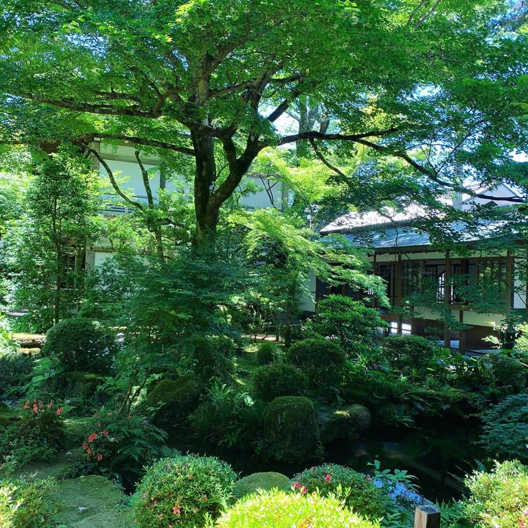 樋場早紀さんのインスタグラム写真 - (樋場早紀Instagram)「京都の大原。 緑に守られた美しく穏やかな場所。 #大原　#三千院」8月23日 12時15分 - saki_toyoba