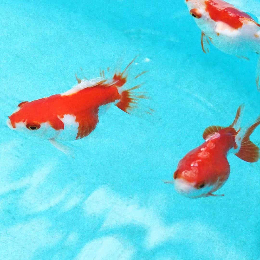 ワンズテラスのインスタグラム