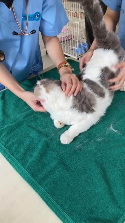 Haruのインスタグラム