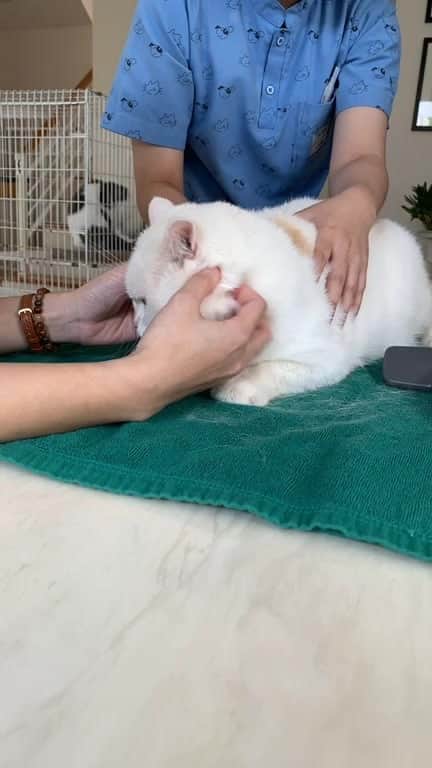 Haruのインスタグラム