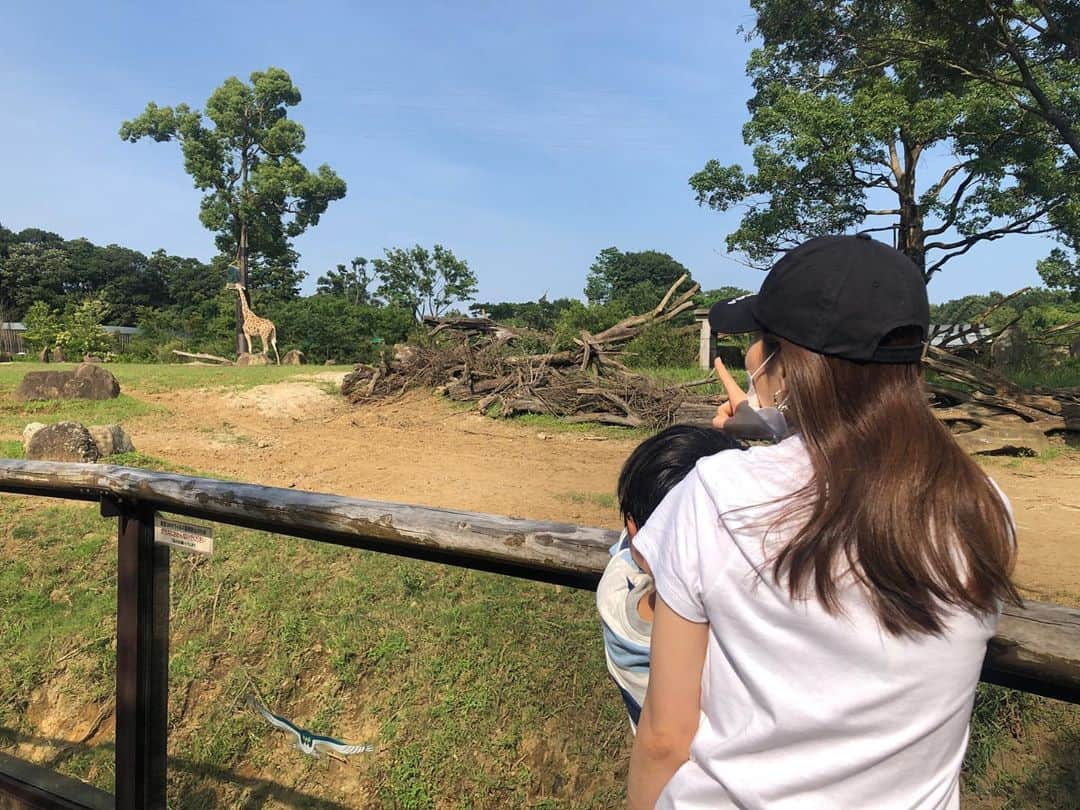 伊藤みくさんのインスタグラム写真 - (伊藤みくInstagram)「-﻿ ﻿ ﻿ よこはま動物園ズーラシアへ﻿ 子供と行ってきました🚘﻿ ﻿ 東京ドーム10個分の敷地の中に﻿ 約100種750点もの動物たちがのびのびと﻿ 暮らしてます🐘🦒🐠﻿ ﻿ ここの動物園、﻿ 野生の息遣いを感じる瞬間がたくさんあって﻿ すっごく面白かった✨✨✨✨﻿ ﻿ さすがにこの日は暑すぎてレッサーパンダはバテ気味でしたが...それも可愛かった🐼﻿ ﻿ 子供だけでなくて大人も楽しめる動物園❤️﻿ ﻿ 色んな国の動物たちが間近で見られて﻿ 世界一周の旅行をしているかのような気分になれましたよ✈️﻿ ﻿ ﻿ ﻿ ﻿ ﻿ #動物園　#よこはま動物園ズーラシア　#ズーラシア﻿ #夏休み」8月23日 12時43分 - miku90210