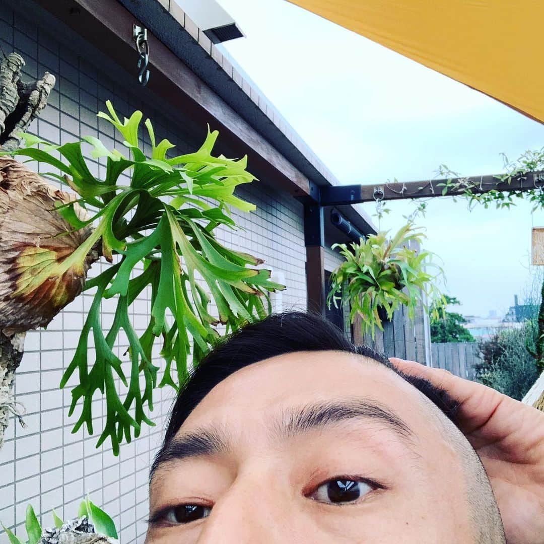 伊勢谷友介のインスタグラム：「雨パラついてますが、涼しくてハンモックを抜け出せません〜 気持ち良い〜 って今朝は4時44分に起きたぞw ゾロ目だ！じゃなくて、めちゃ早っ！って方にビックリして、ハンモック。蚊取線香焚いて、コーヒー☕️煎れたらパラついてきやがった☔️ 頭触ったら、横も後ろも地肌だった。マルコメマルコメ。。。 そうだ昨日切ったんだった。 明日から現場始まります。 さて本日は何をして過ごすかなぁ〜！」